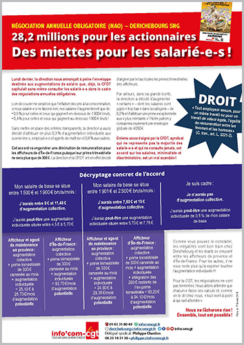 2016_02_01_InfoComCGT_Derichebourg_NAO_tract